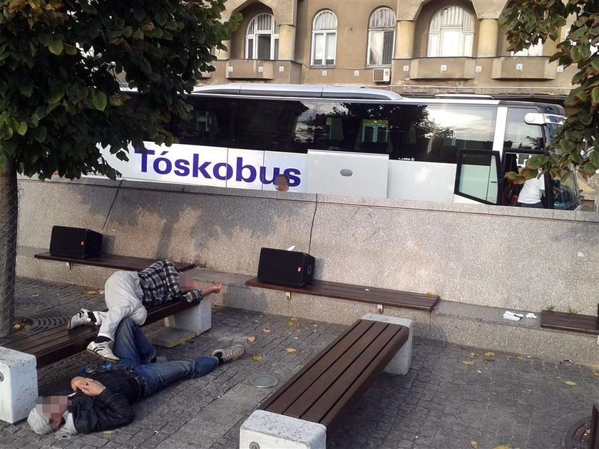 Tóskobusy