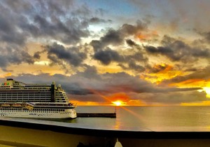 Ljubica kruzer, ispovest