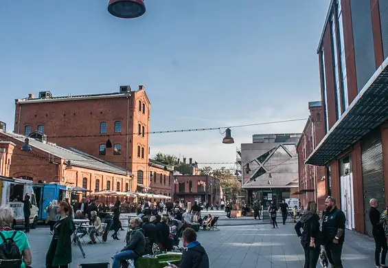 Koniec nudy. Zaczyna się plenerowe Lato Konesera