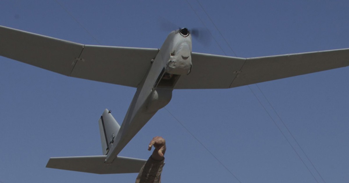 Wojskowy dron Puma będzie obserwował hawajskie foki