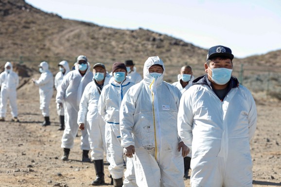 NOVI SOJ VIRUSA IZ AMERIKE PREŠAO U EVROPU! Misteriozna "Cikada" se širi brzo, MUTIRA PRED NAŠIM OČIMA i niko nema odgovor na pitanje - šta ako pokrene letnji talas?!