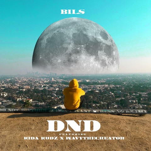 DND Cover art [Bils]