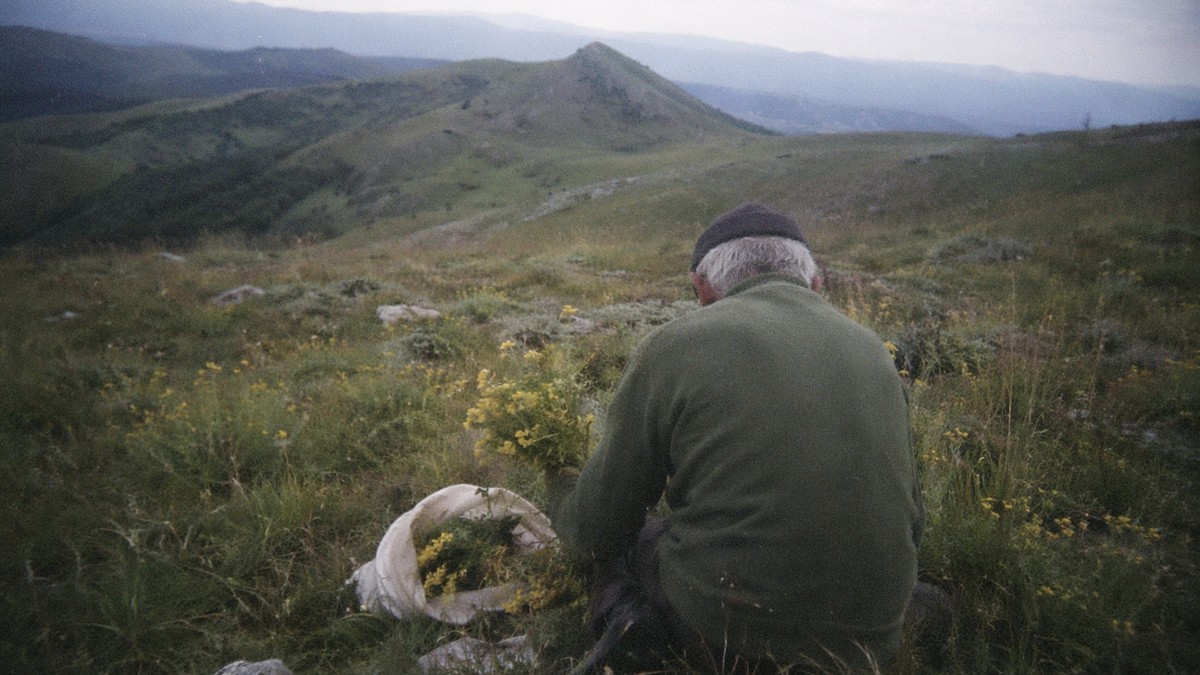 Deda Gvozden sa Rtnja / Ilustracija