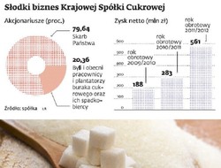 Krajowa Spółka Cukrowa pod parasolem państwa
