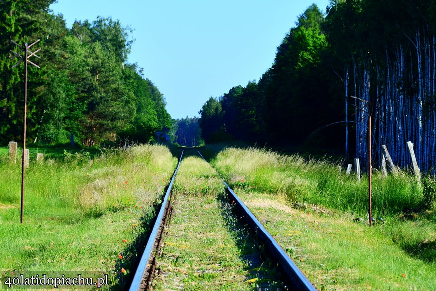 Linia kolejowa 215 "zagłębia" się w Borach Tucholskich