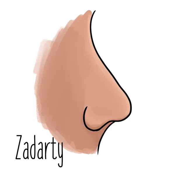 1-zadarty