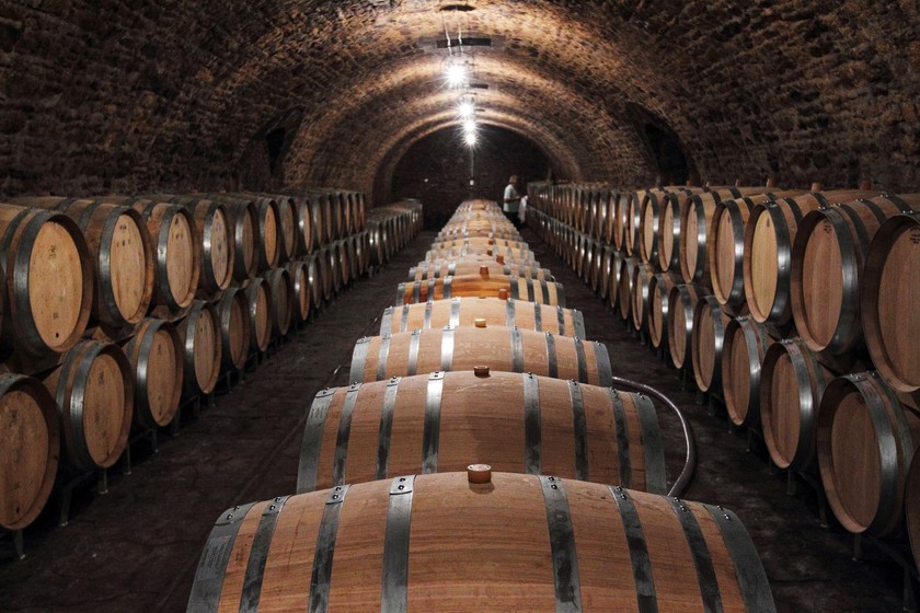 Schatzkammer: Der im Keller der familiengeführten Domaine Selosse gelagerte Champagner ist unter Kennern binnen weniger Jahre Kult geworden.