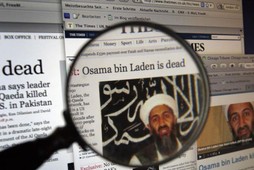 osama bin laden nie żyje strony internetowe