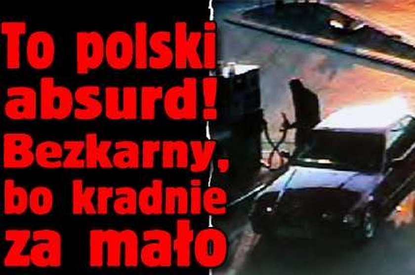 To polski absurd! Bezkarny, bo kradnie za mało!