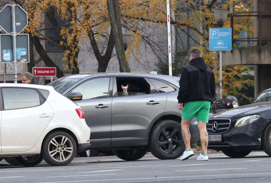 Kristijan Golubović paparaco