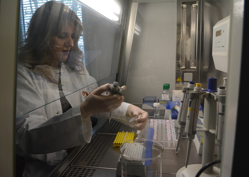 Dragana Zgonjanin Bosić