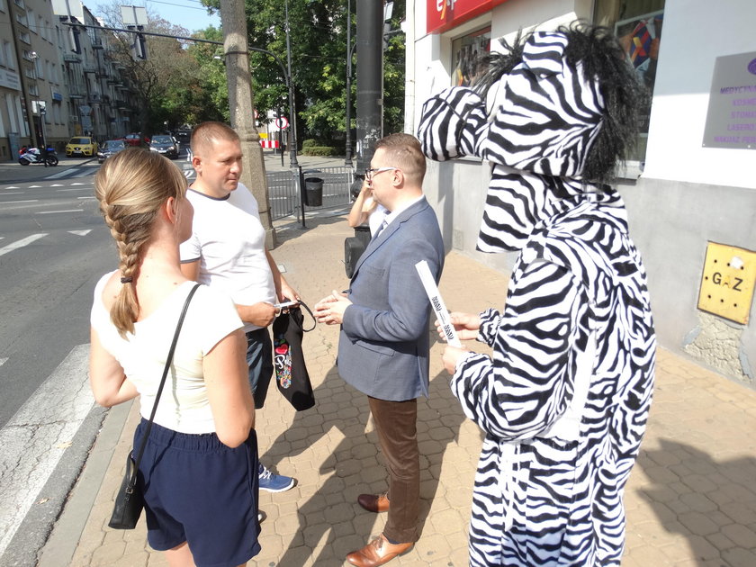 Akcja "Przyjazna zebra"