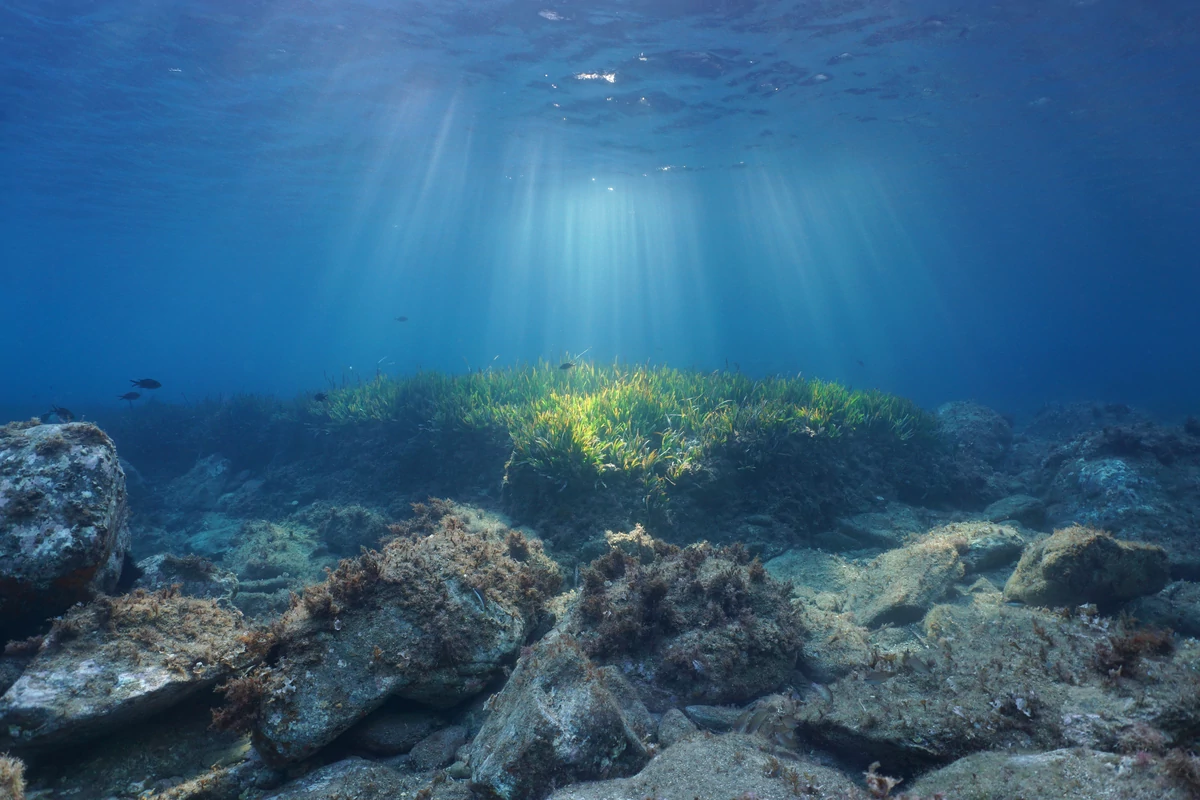  Naukowcy odnaleźli złotą kulę na dnie oceanu. Czegoś takiego jeszcze nie widziano