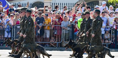 Awantura z powodu psów na defiladzie. Jest odpowiedź wojska