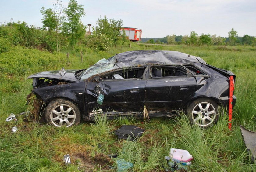 Policjanci pojechali do wypadku. Na miejscu mocno się zdziwili