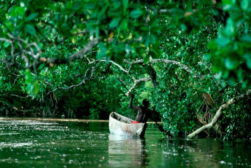 Znani z praktyk kanibalistycznych Asmatowie żyją w indonezyjskiej części Nowej Gwinei. / fot. Arne Hodalic/CORBIS/Corbis via Getty Images