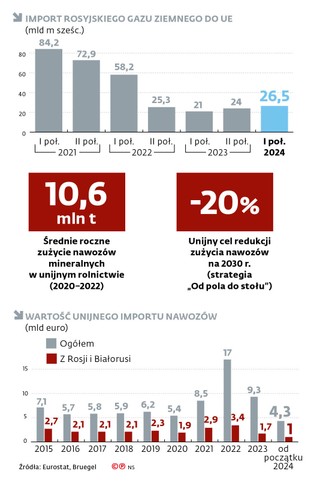 Import rosyjskiego gazu ziemnego do UE