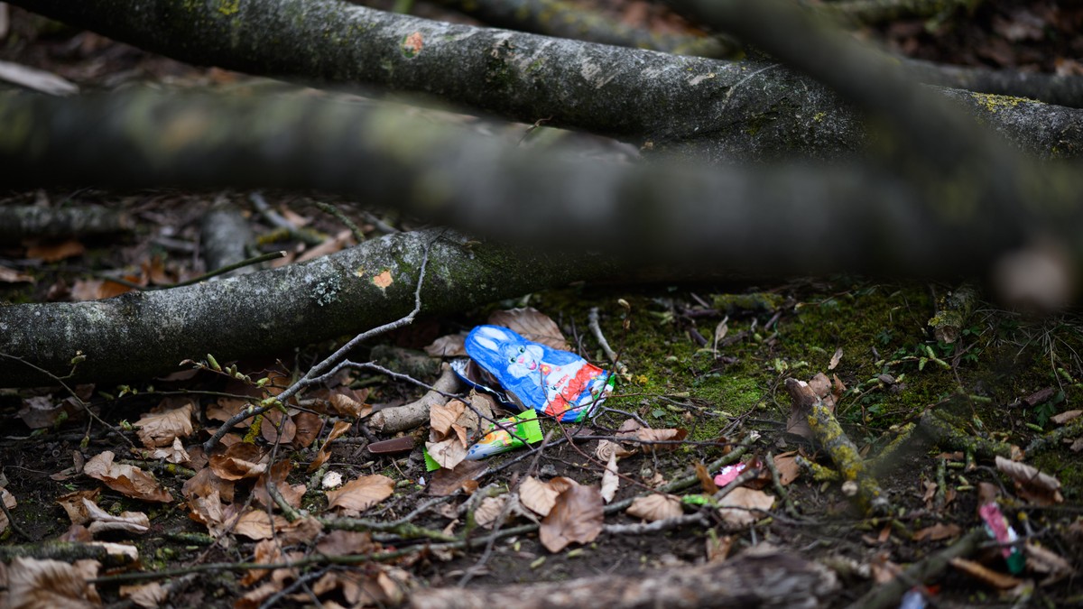 Nesreća u Nemačkoj