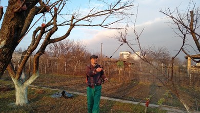 Miedzian 50 WP: jak i kiedy stosować? Co można pryskać miedzianem?