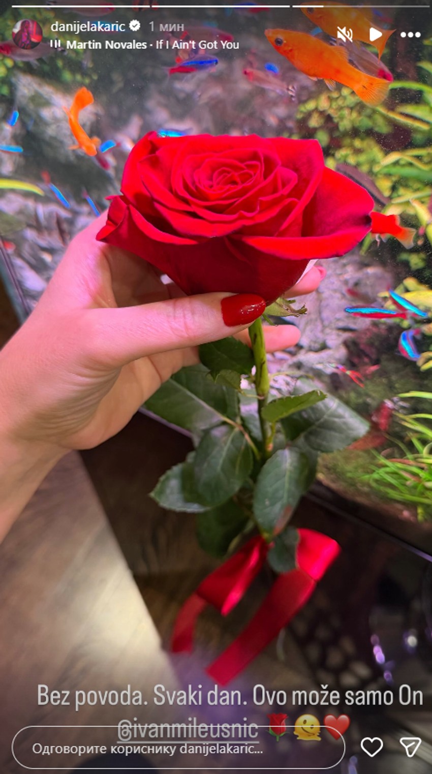 Objava Danijele Karić