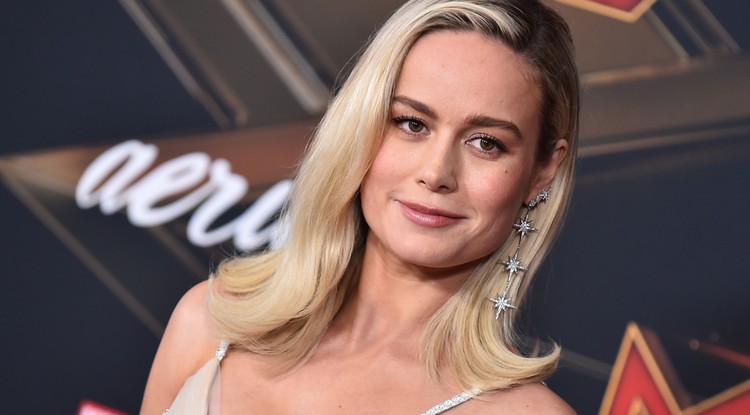 Brie Larson mindenkit lenyűgözött a ruhájával