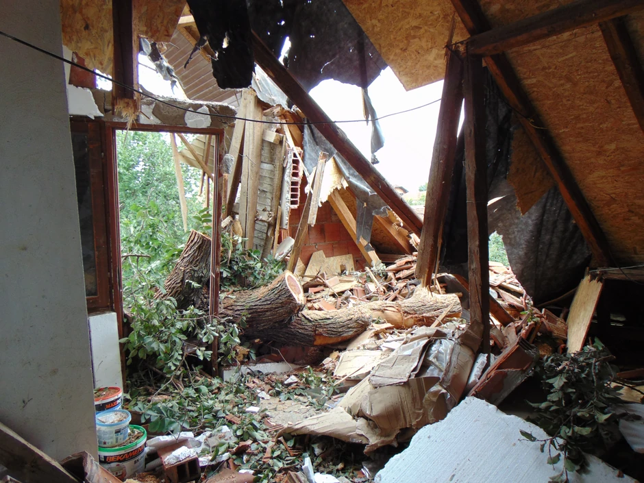 Soba u potrkovlju skoro smrskana posle pada bresta