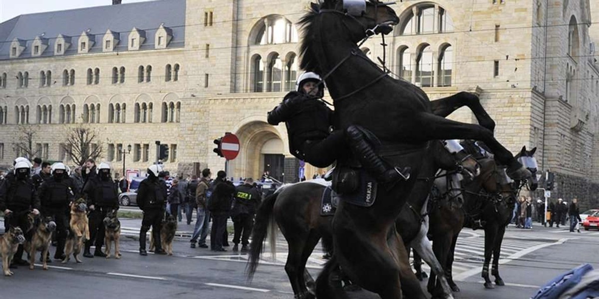 Koń poniósł policjanta