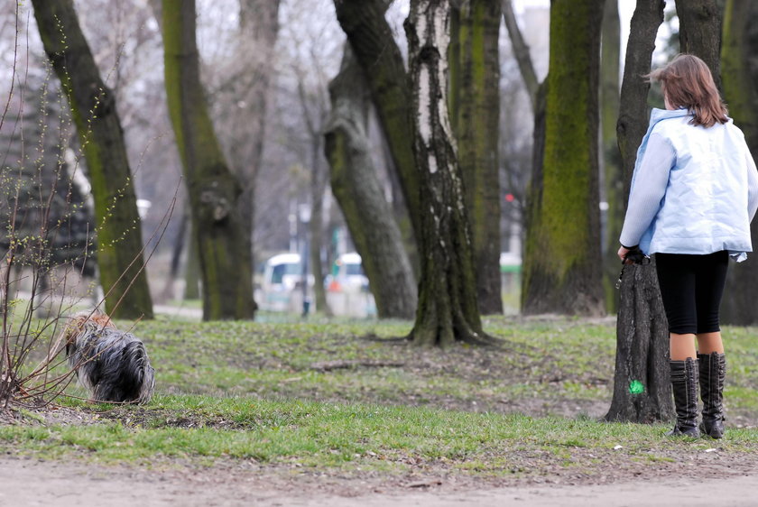 W kilku parkach w Poznaniu nadal obowiązuje zakaz wstępu dla psów