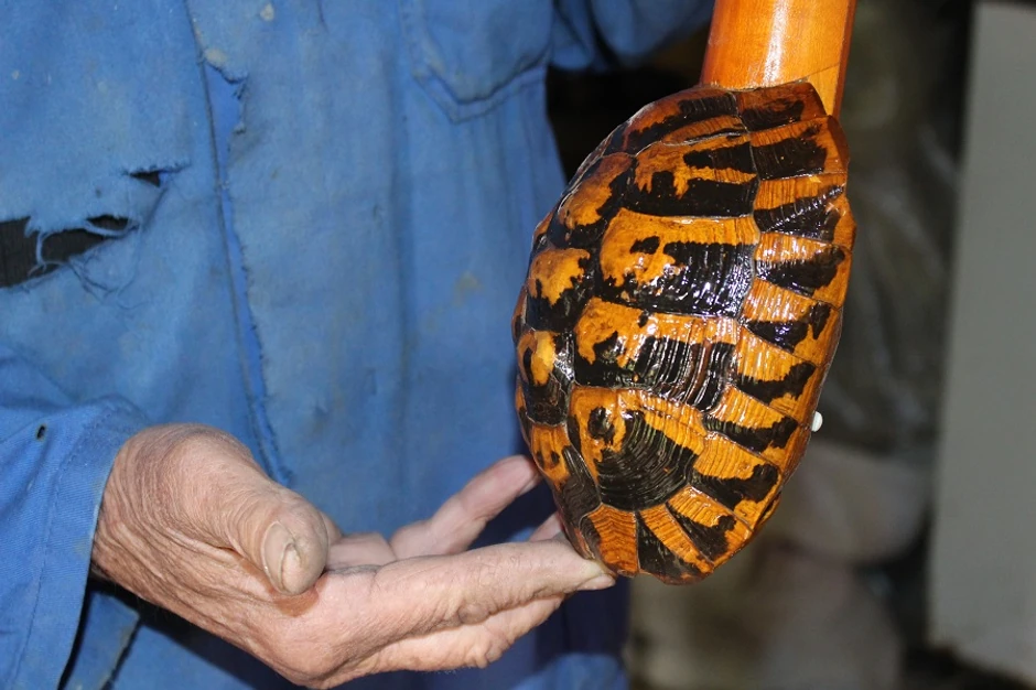 Jefto-Čolić-tambura-od-kornjace-foto-Milan-Pilipovic