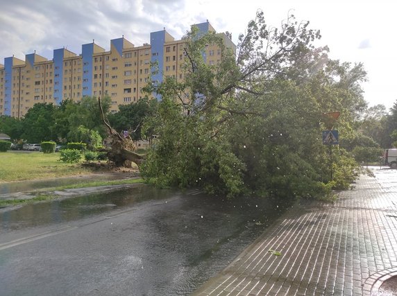 Skutki burzy w Gorzowie i okolicach fot. czytelnicy