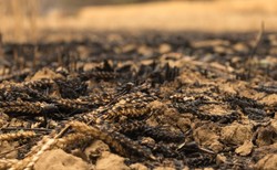 CNN: Oto nowe pole bitwy w wojnie z Rosją. "Robią to każdego dnia"