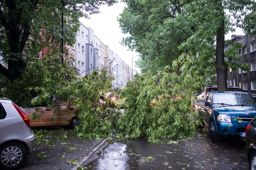 Zabrze. Nawałnice spustoszyły miasto