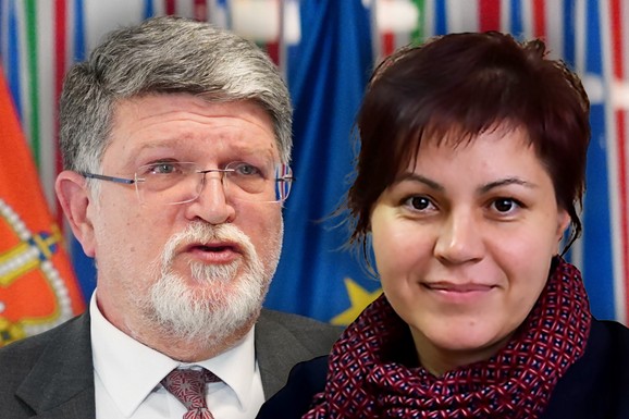 "SRBIJA JE POSVEĆENA ČLANSTVU U EU" Mađarska evroposlanica o izveštaju Tonina Picule: "Ovo nije kritika već politički sud"