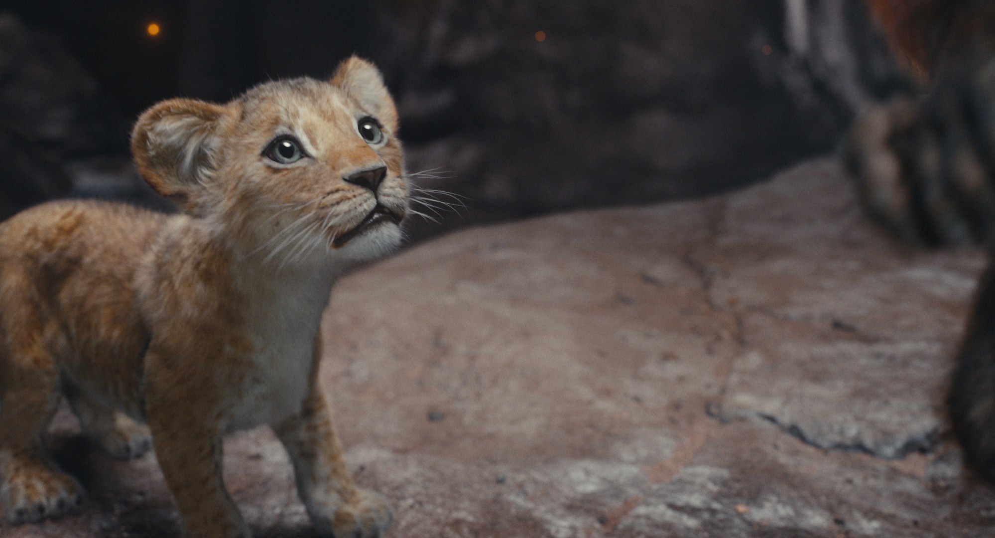Animovaná rozprávka Mufasa: Leví kráľ.