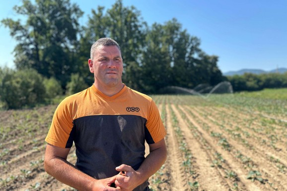 Dok sunce prži, čačanski domaćini čuvaju useve: Srđan ima hektare pod kupusom, sistemi za navodnjavanje rade bez prestanka
