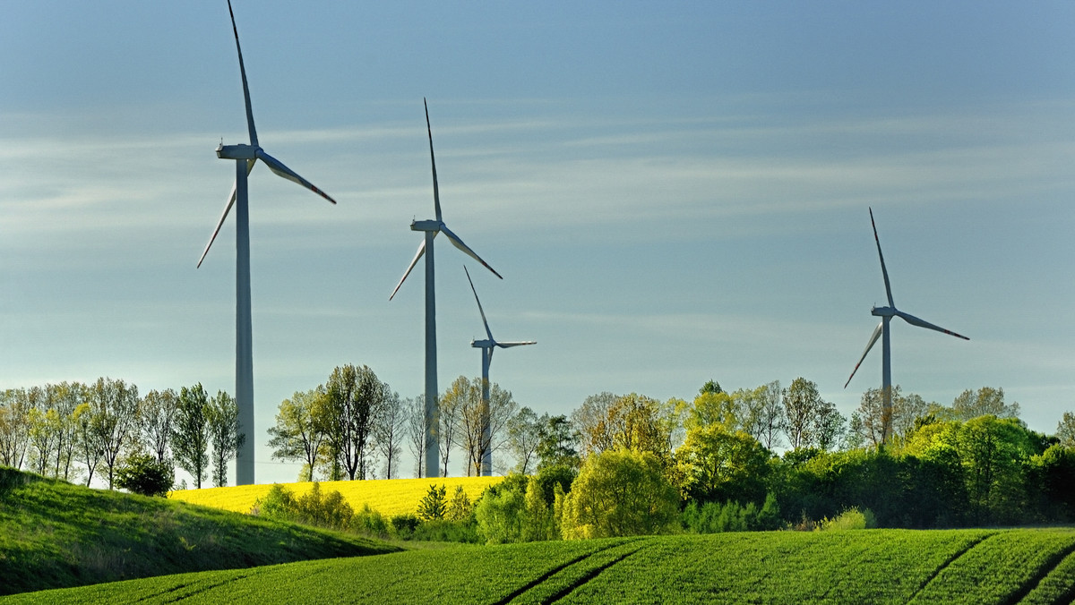 GE spodziewa się, że do końca roku na rynku farm wiatrowych w Polsce będzie panował duży ruch. Spółka planuje dostarczyć w tym okresie turbiny o mocy ok. 150 MW dla 6-7 projektów - poinformowali podczas czwartkowego spotkania prasowego przedstawiciele koncernu.