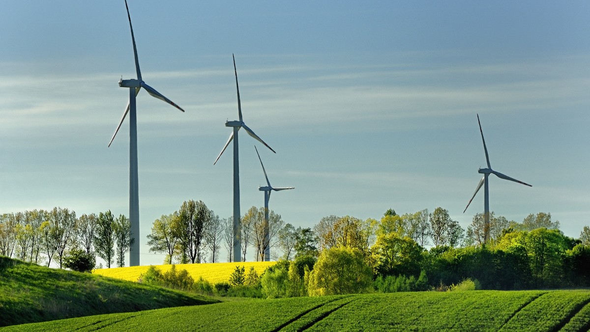 GE spodziewa się, że do końca roku na rynku farm wiatrowych w Polsce będzie panował duży ruch. Spółka planuje dostarczyć w tym okresie turbiny o mocy ok. 150 MW dla 6-7 projektów - poinformowali podczas czwartkowego spotkania prasowego przedstawiciele koncernu.