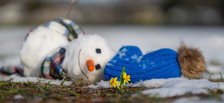 Niewiarygodna prognoza. Prawie 20 stopni Celsjusza w lutym. Oto data powrotu wiosny