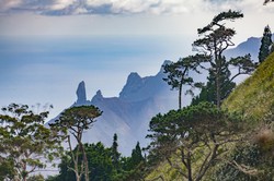 Najstarsze zwierzę świata ma 190 lat i mieszka na Wyspie Świętej Heleny