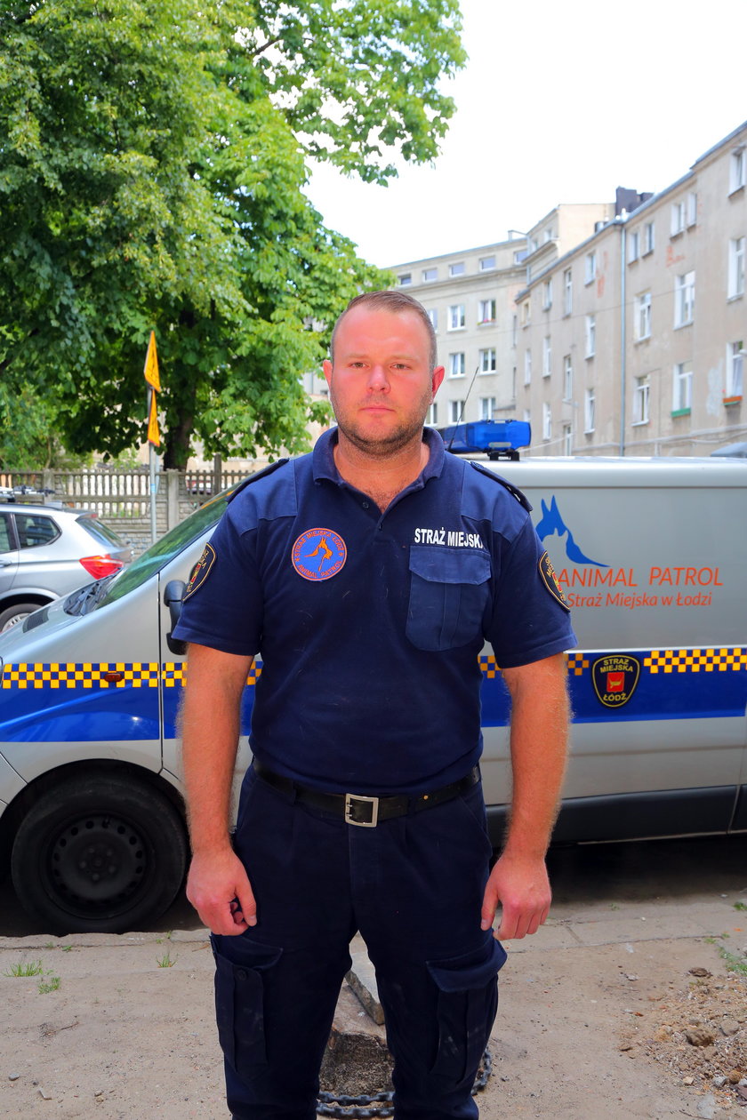 Strażnicy miejscy z łódzkiego Animal Patrol wezwani na pocztę do... pytona 