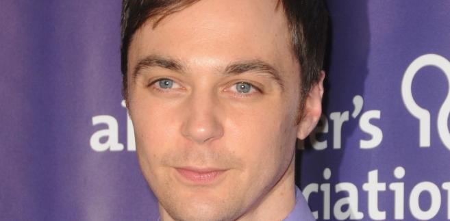 Jim Parsons - 8 mln dolarów<br />Kolega z planu Galeckiego, zarobił taką samą kwotę, ale rola w tym samym serialu przynosi mu większe uznanie wśród krytyków przyznających nagrody.<br />