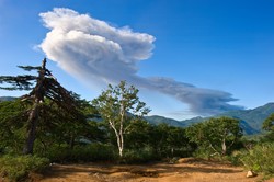 Rosja zaatakowana własną bronią. Japonia sugeruje referendum na Kurylach
