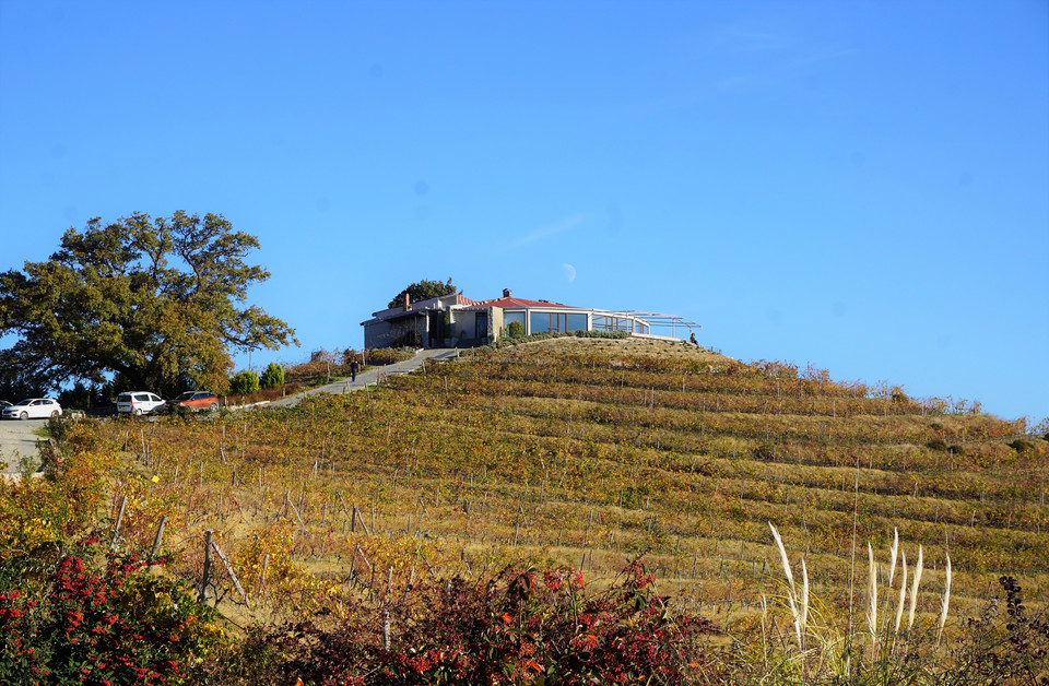 Pawilon Ma'adra Vineyards w Kobaşlar