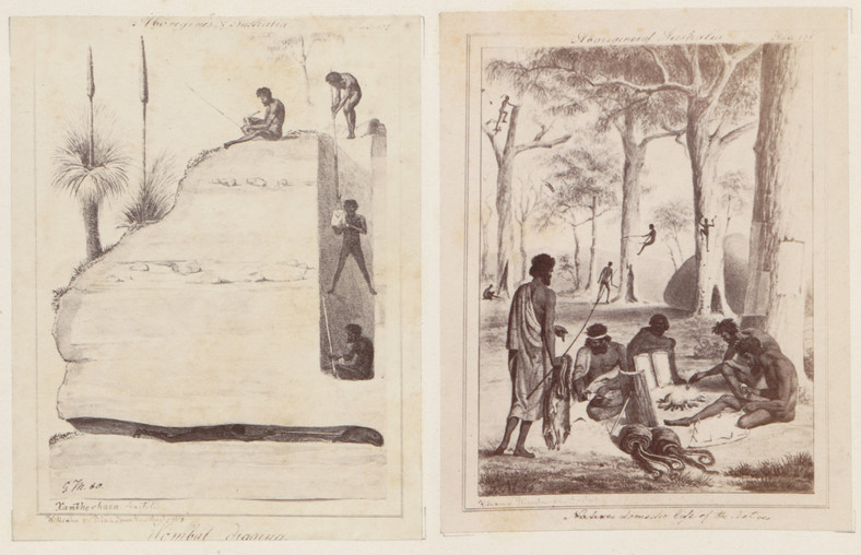 Ryciny z albumu Wilhelma von Blandowskiego "Australia w 142 ilustracjach fotograficznych"