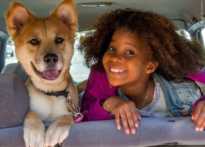 Złote Maliny 2015 dla najgorszych