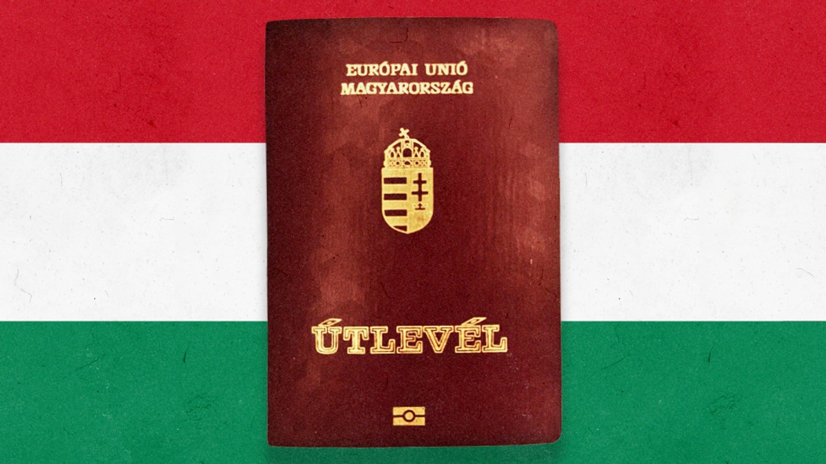 BBC | Foto: Jakov Ponjavić