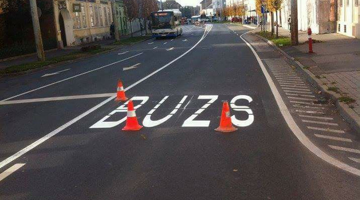 "Buzs" /Fotó: Facebook