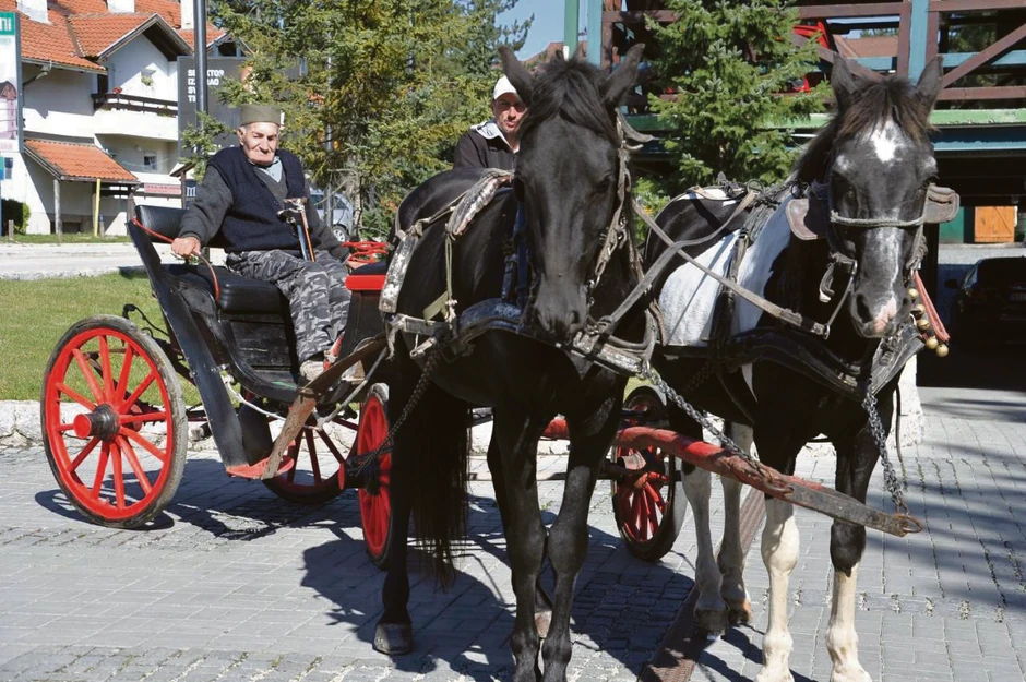 Počasna vožnja fijakerom