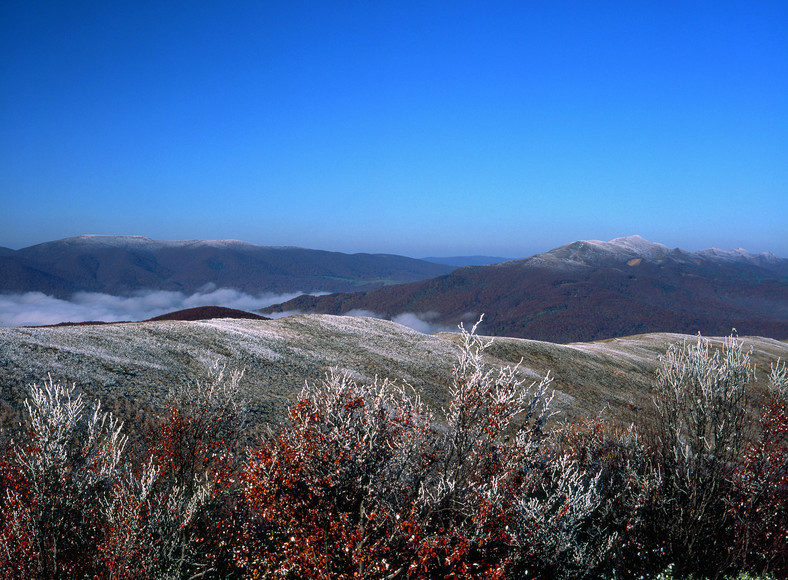 Widok z Bukowego Berda, Bieszczady