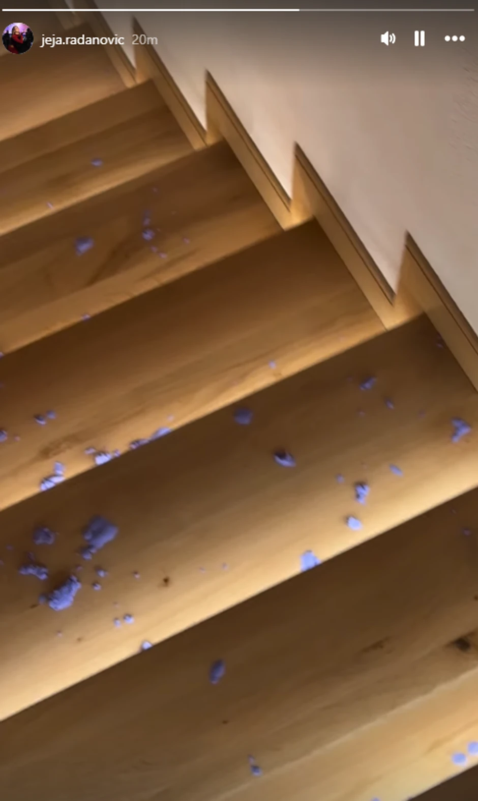 Jelena pokazala šta radi sin Damjan